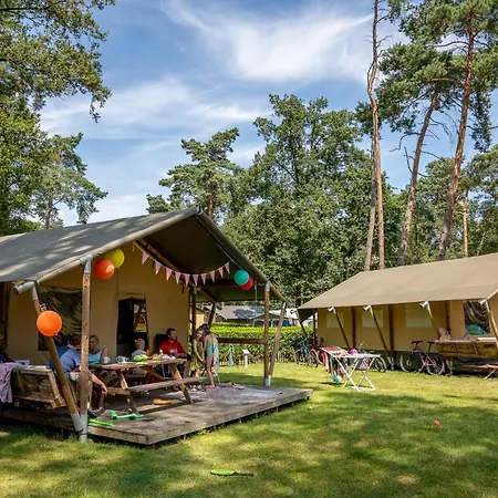 Οργανωμένο κάμπινγκ Familiepark Goolderheide Μπόχολτ
